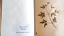 Herbarium pflanzensammlung 155 gebraucht kaufen  Ludwigsburg