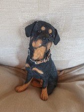 Country artist rottweiler for sale  ST. ANDREWS