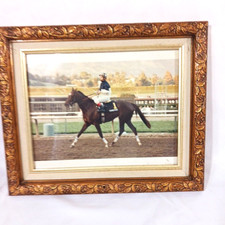Vintage thoroughbred race for sale  Florence