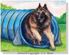 Belgian shepherd tervuren d'occasion  Expédié en Belgium