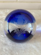 Cobalt blue thistle for sale  NOTTINGHAM