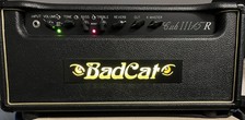 Bad cat cub for sale  LEEDS