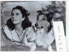 lassie home for sale lassie home for sale New York