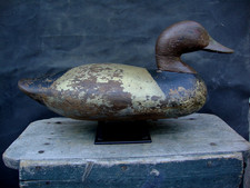 Antique canvasback chesapeake for sale  Ocracoke