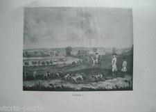 Cani caccia zoologia usato  Italia