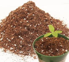 3qt potting soil for sale  Saint Petersburg
