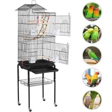 Roof top parrot for sale  IPSWICH