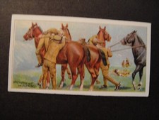 TESOURA CIGARRO WILLS VIDA DO EXÉRCITO 1914 #14 GUERRA MUNDIAL 1 CAVALOS TROPAS TRINCHEIRAS comprar usado  Enviando para Brazil