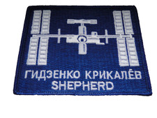 Aufnäher nasa iss gebraucht kaufen  Gruibingen