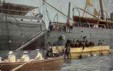 C4018 marina imbarco usato  Lugo