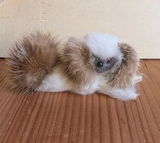 Alte tierfigur pekinese gebraucht kaufen  Neustadt b.Coburg