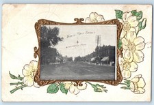 C1908 winnebago minnesota for sale  Terre Haute