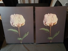 White rose canvas for sale  Bethlehem