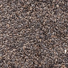 30kg sonnenblumenkerne schwarz gebraucht kaufen  Görlitz-Umland