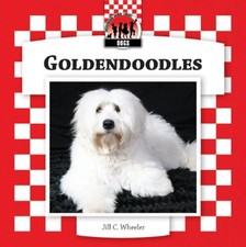 Goldendoodles for sale  Gastonia