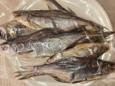 Dried fish. taranka for sale  LONDON