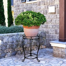 Stormshopping tier plant for sale  UK