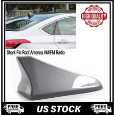 Silver gray shark for sale  Hebron
