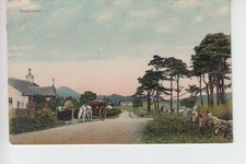 View horse cart for sale View horse cart for sale  MELROSE