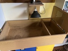 pet tortoise for sale pet tortoise for sale MOLD
