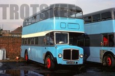35mm slide angus for sale  HIGH WYCOMBE