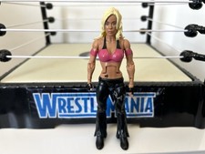 Wwe madison rayne for sale  NUNEATON