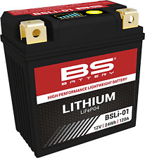 BS BATTERY Bateria de litio BSLI-01 LFP01 comprar usado  Enviando para Brazil