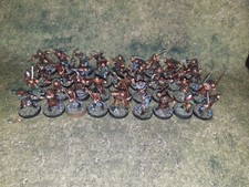Large viking warband for sale  GILLINGHAM