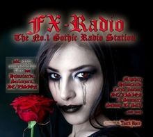 Radio the gothic gebraucht kaufen  Berlin