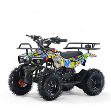 Quad miniquad kinder gebraucht kaufen  Greven