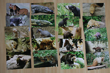 Tier postkarte animal gebraucht kaufen  Berlin