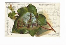 Neuenburg neuenburger urwald gebraucht kaufen  Michendorf