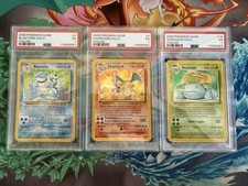 Pokemon charizard blastoise usato  Roma