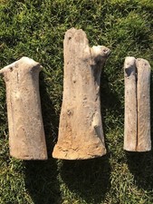 Treibholz schwemmholz buhnen gebraucht kaufen  Samtens