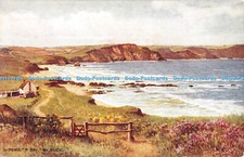 R304923 widemouth bay for sale  WARLINGHAM