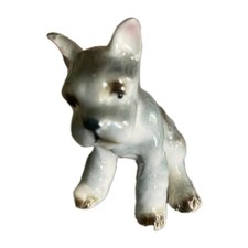 french bulldog cute puppies for sale  BANBURY