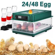 48x home eggs for sale  WORCESTER