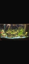 juwel vision fish tank for sale juwel vision fish tank for sale WARE