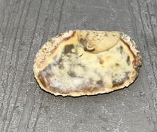 Natural gobi agate for sale  ROMFORD