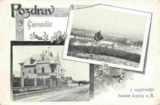 Cernosic cernosice cernositz gebraucht kaufen  Deutschland
