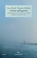 Anime galleggianti massimo usato  Codigoro