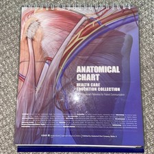 Anatomical chart healthcare for sale  Salt Lake City