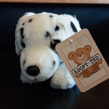 Cute dalmatian puppy for sale  HECKMONDWIKE