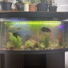 Fish tank for sale  NOTTINGHAM