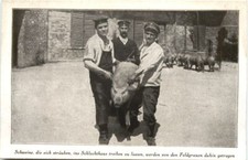 Ww1 schlachthaus schweine gebraucht kaufen  Eimeldingen