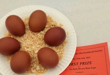 Burford brown eggs for sale  TAMWORTH