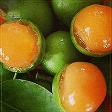 100pcs lemon sweet for sale  Denver