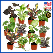 Pack easy care for sale  Denver