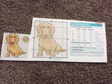 Mini pet dachshund for sale  BIRMINGHAM