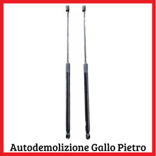 Molle gas pistoncini usato  Taranto